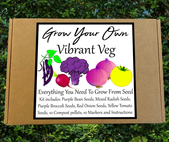 Sale - Vibrant Colourful Veg Seed Kit Grow Your Own Gardening Allotment Box