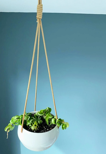 White Hanging Planter Indoor, Ceramic Wall Planter, Plant Hanger, Holder, Flower Pot, Shipped From Usa