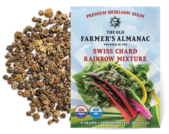 The Old Farmer's Almanac Swiss Chard Seeds | Rainbow Mixture