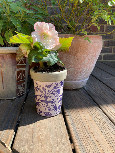 Aged Floral Flower Plant Pot Blue Tom Garden Outdoor Planter