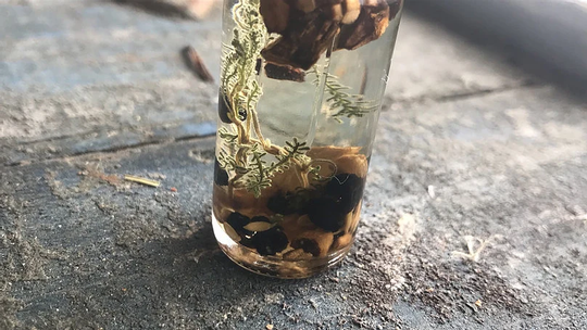 Peace Oil For Meditation & Tranquility, Ritual/Spellwork, Magick Herbs, Altar Decor, Witchcraft Supplies, Wiccan Pagan Kit