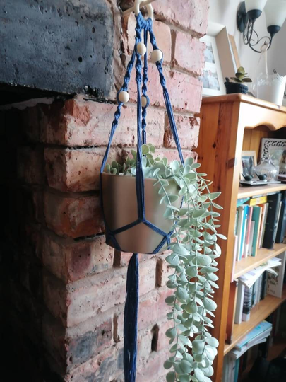 Macrame Plant Pot/Vase Holder