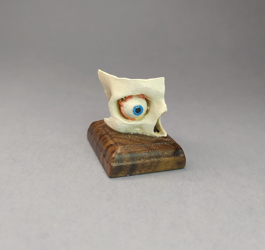 Eye Model in Orbital Cavity. Anatomical Model Reproduction. Medical Study Miniature For Dollhouses 112 Scale By D. Zalvez Wunderkammer