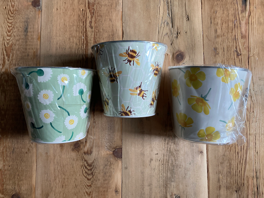 Emma Bridgewater Set Of 3 Buttercup Plant Pots