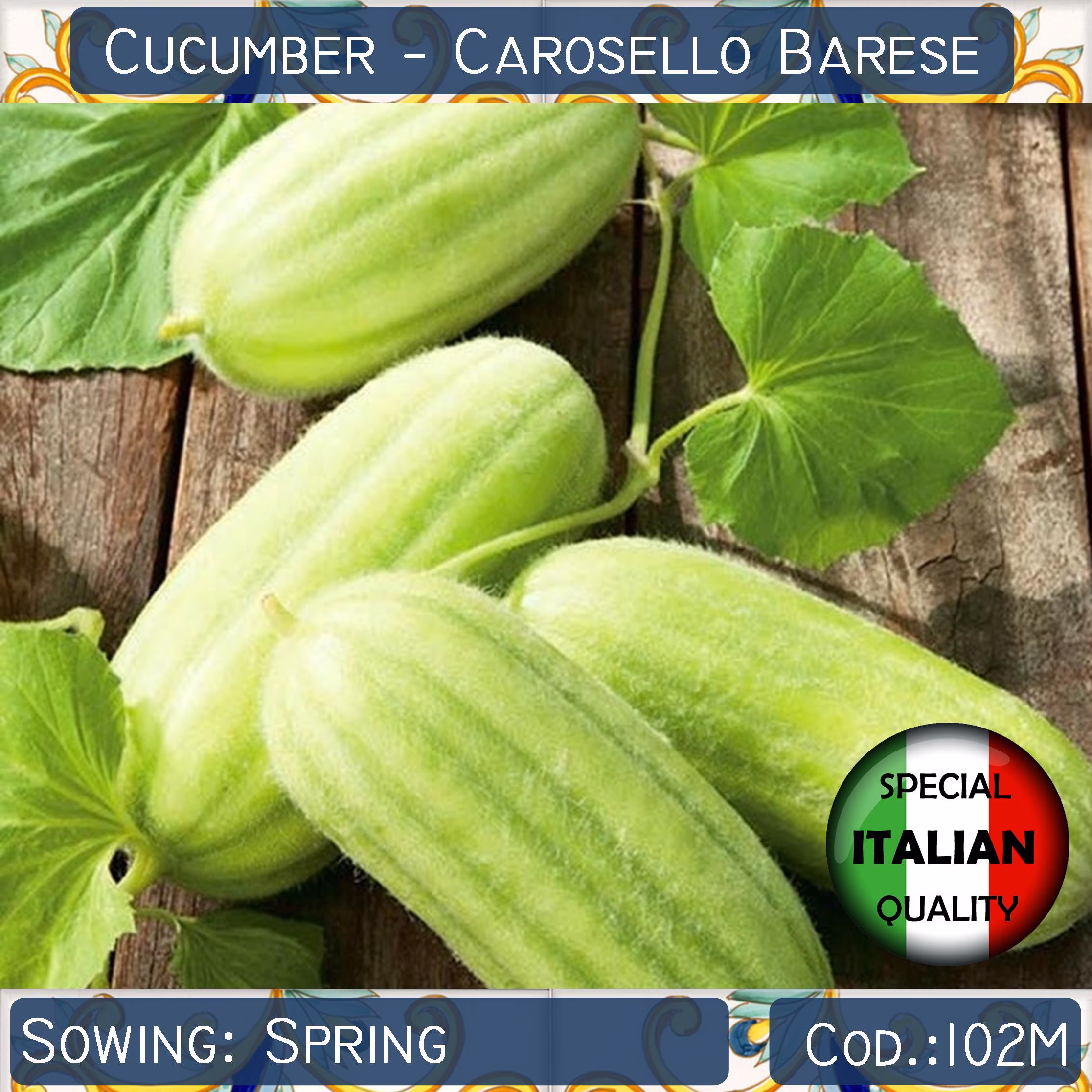 10 Cucumber Carosello Barese Seeds, Armenian Non Gmo #102M