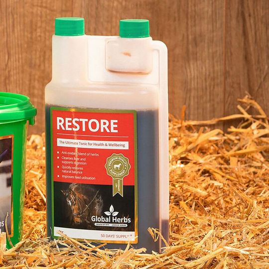 Restore Liquid - 1 Lt - RESTORELIQ1L - Global Herbs