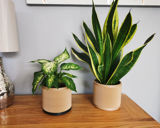 Geometric Indoor Wood Plant Pot, Large Planter, Fibres, Plants, 3D Printed, Classic Two Tone Scandinavian