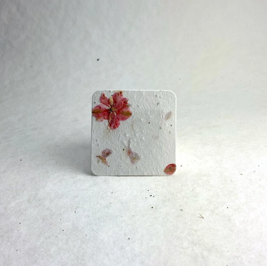 Seed Paper Rounded Squares - 2.5