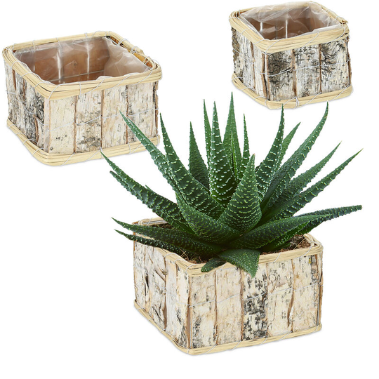 Relaxdays - 3x Square Flowerpots, Birch Bark, Flowers & Herbs, Plant Baskets with Foil Lining, in 3 Sizes, Wooden, Natural