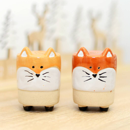 Fox Salt And Pepper Shaker Christmas Present