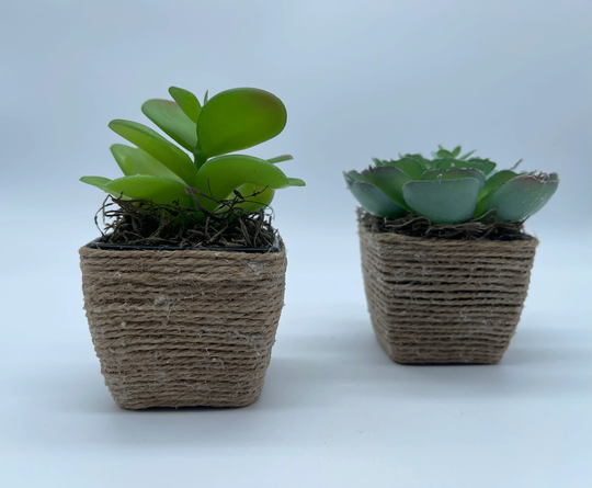Artificial Succulent With Rope Pot