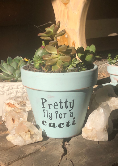 Pretty Fly For A Cacti Cactus Planter, Indoor Outdoor Flower Pot, Chalk Painted Garden Decor, Succulent Pot