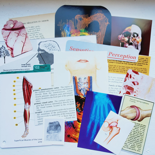 Anatomy Paper Kit #10, Medicine, Skeleton. Vintage Ephemera, Scrapbook, Snail Mail, Junk Journal, Collage, Decoupage