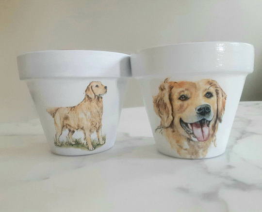 Golden Retriever Clay Pots-3.5 Inch, Dog Mom Gifts, Pots, Retrievers, Terracotta Decoupage Pot, Gifts