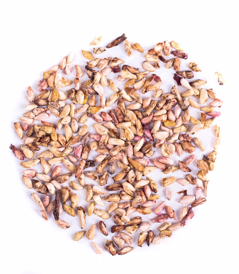 Dried Organic Pomegranate Seeds/Available From 2Oz-32Oz Punica Granatum Health Benefits Cooking