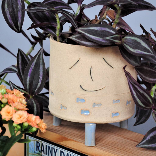 Smiley Face Personalised Blue Fish Plant Pot