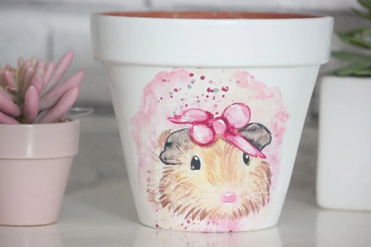 Guinea Pig Plant Pot, Gift, Indoor Pot