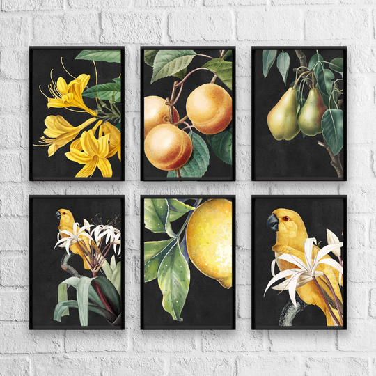 Antique Black Print Set, Herb Prints, Botanical Art, Kitchen Giclee, Art