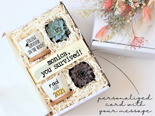 Funny Graduation Gift Box - Funny Succulent Personalized Grad Custom Under 40 Ready To Ship