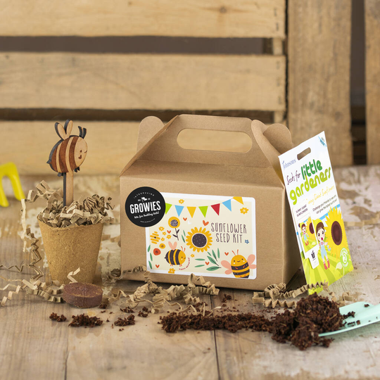 Kids Sunflower Seed Kit, Grow Your Own, Kids Party Bag