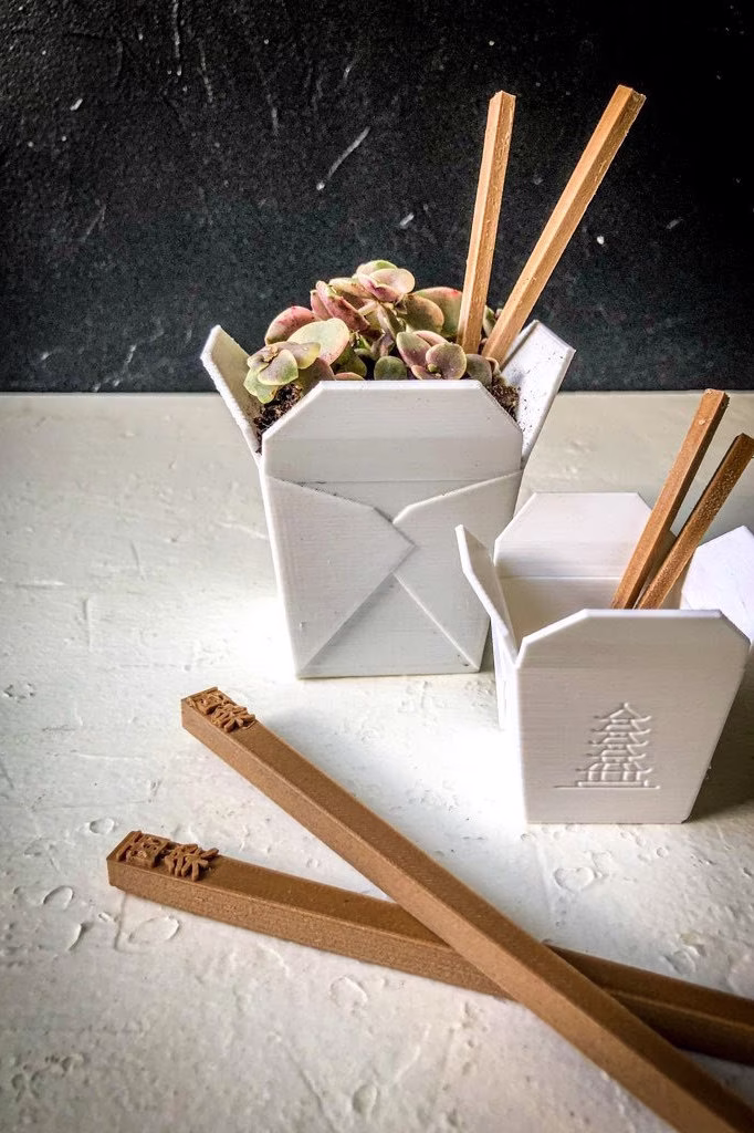 Small Or Set Of 2 | Small & Mini Chinese Take Out Planter, Succulent Cactus Planter Pot
