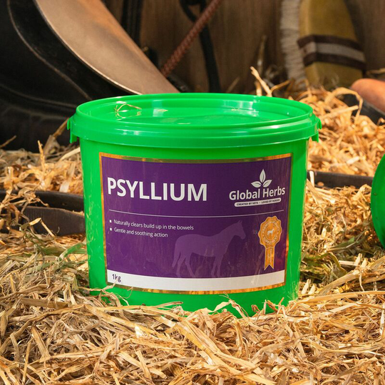 Psyllium - 1 Kg - PSYLLIUM1KG - Global Herbs