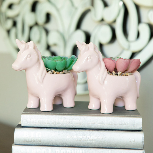 Set Of 2 Pink, White Or Teal Ceramic Unicorn Succ