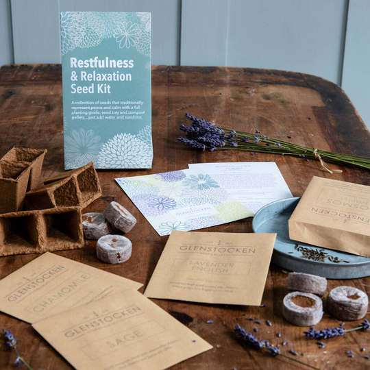 Reflective Moods Seeds In Restfulness