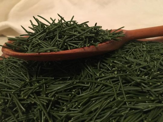 Fresh Pine Needles, Picea, Pure, Organic, Needle Tea, 100% Natural