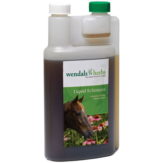 Wendals Herbs - Liquid Echinacea (1 litre) (May Vary) - May Vary