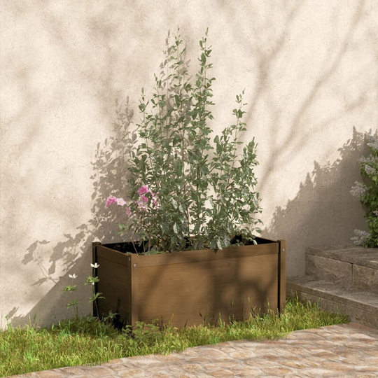 Asupermall - Garden Planter Honey Brown 100x50x50 cm Solid Pinewood