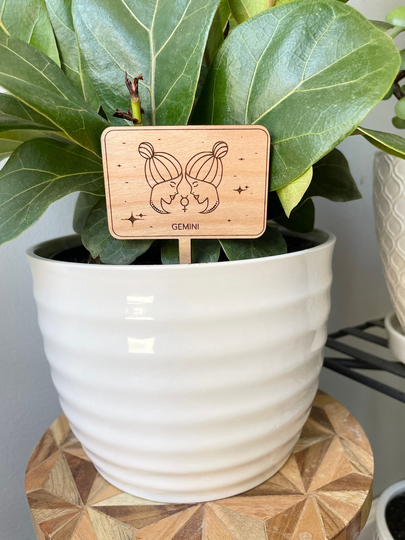 Zodiac Plant Signs| Markers| Birthday Gift | Boho Decor Sticks Garden Accessories| Gemini