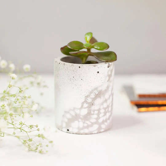Lace Effect Concrete Planter