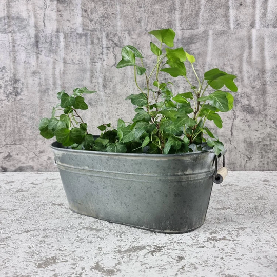 Galvanised Metal Trough Planter