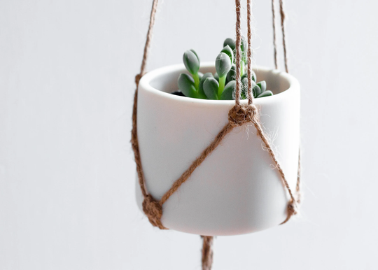 Hanging Macrame Planter, Small Succulent White Round Ceramic Pot