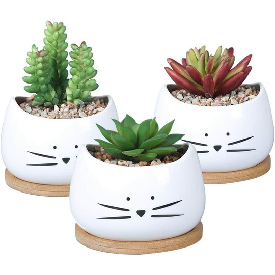 Langray - 3.2 inch Cute Ceramic Cat Succulents Planter Pots with Removable Saucer Unique Cactus Planters Decorative Porcelain Flower Pot for Cat