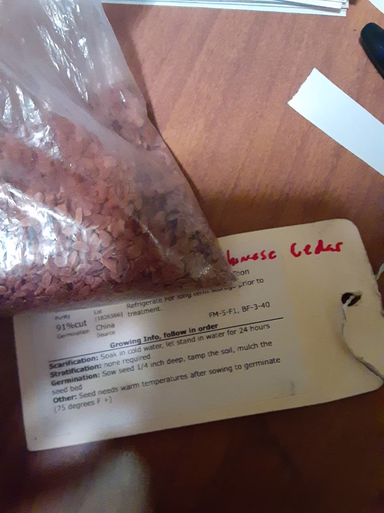 Chinese Cedar Tree Seeds | Chinese Toon, Red Toon