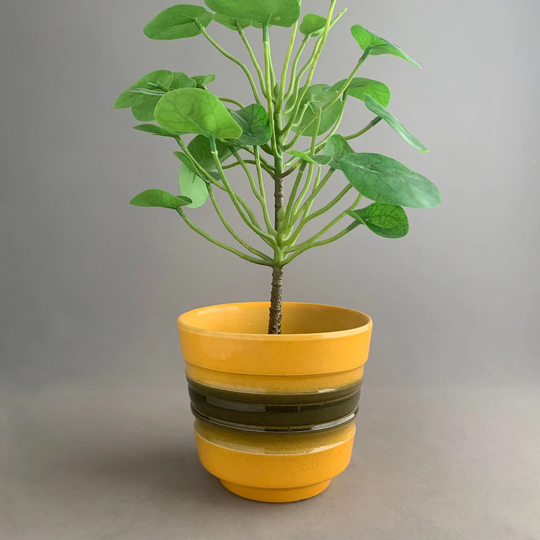 1970S Plant Pot