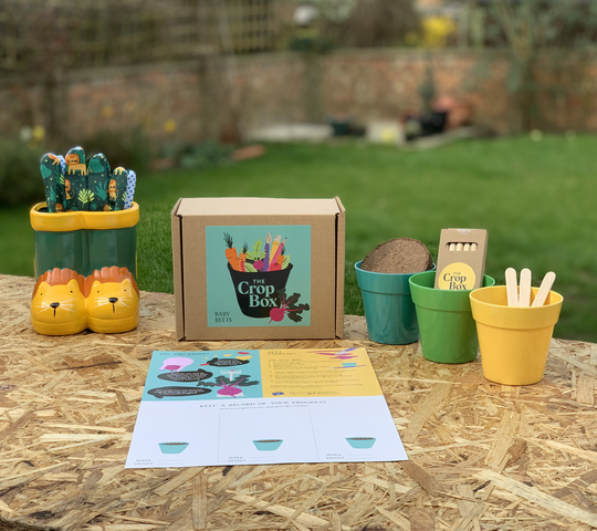 Grow Your Own Baby Beets Kit For Children