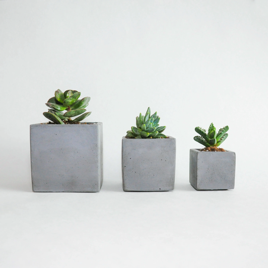Charcoal Square Concrete Planter