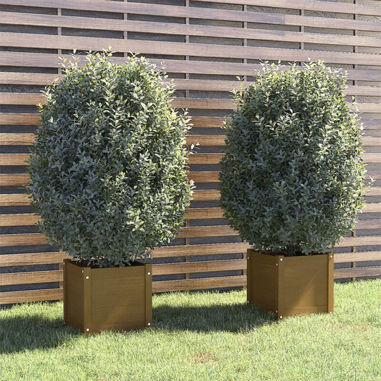 Asupermall - Garden Planters 2 pcs Honey Brown 40x40x40 cm Solid Pinewood