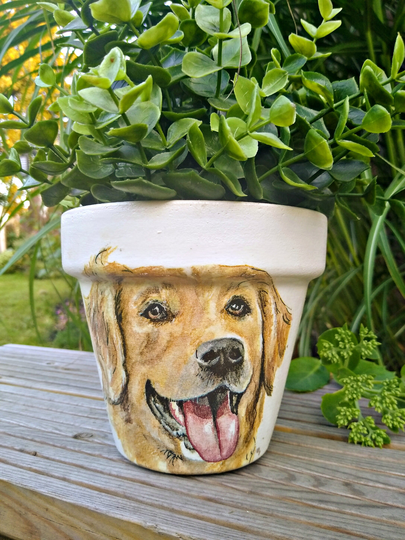 Labrador Plant Pot