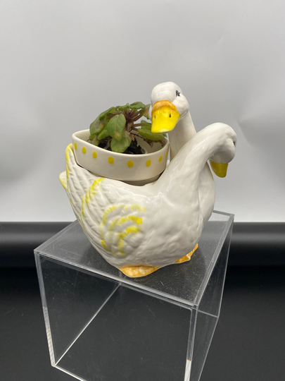 African Violet Pot - Self Watering Mini Planter Cute Duck Unique Gift in Stock