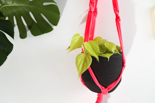 Flouro Pink Macrame Plant Hanger /Indoor Holder/ Neon Macrame /Hanging Holder Long/ Bright Interior
