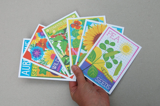 Seed Packet Postcard Set, 6 X A6 Postcards, Botanical Illustration, Garden Lovers Gift