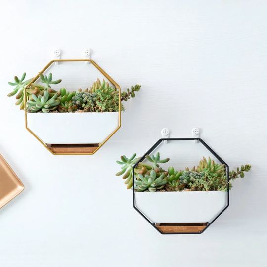 Metal & Ceramic Hanging Wall Planter For Sucullent Cacti Or Artificial Plants