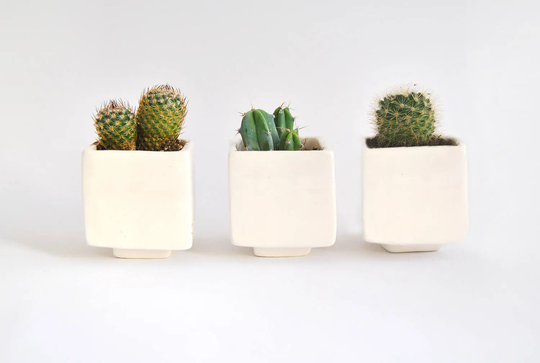 Set Of Three Geometric Ceramic Planters, Cube Shaped & in Plain White Color. Ideal For Cactus, Succulents Air Plants. Ready To Ship