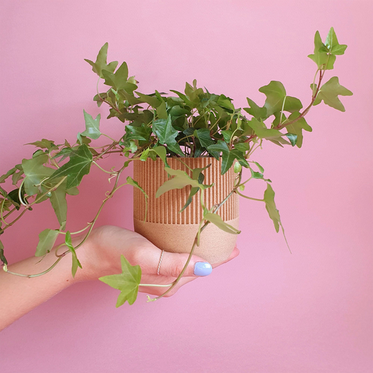 Eco Planter - Twig Planet Friendly Geometric Plant Pot
