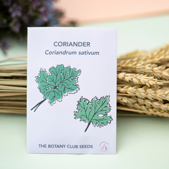 Pick Your Own Herbs Pack