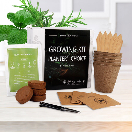 Benobby Kids - Indoor Herb Garden Starter Kit - Organic Non gmo - 5 Herb Seed Basil, Cilantro, Parsley, Mint, Thyme, Potting Soil, Plant Kit - diy